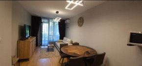 Aspen Suites Luxury apartment A005